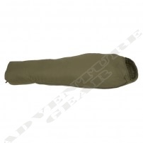 EAGLE_2